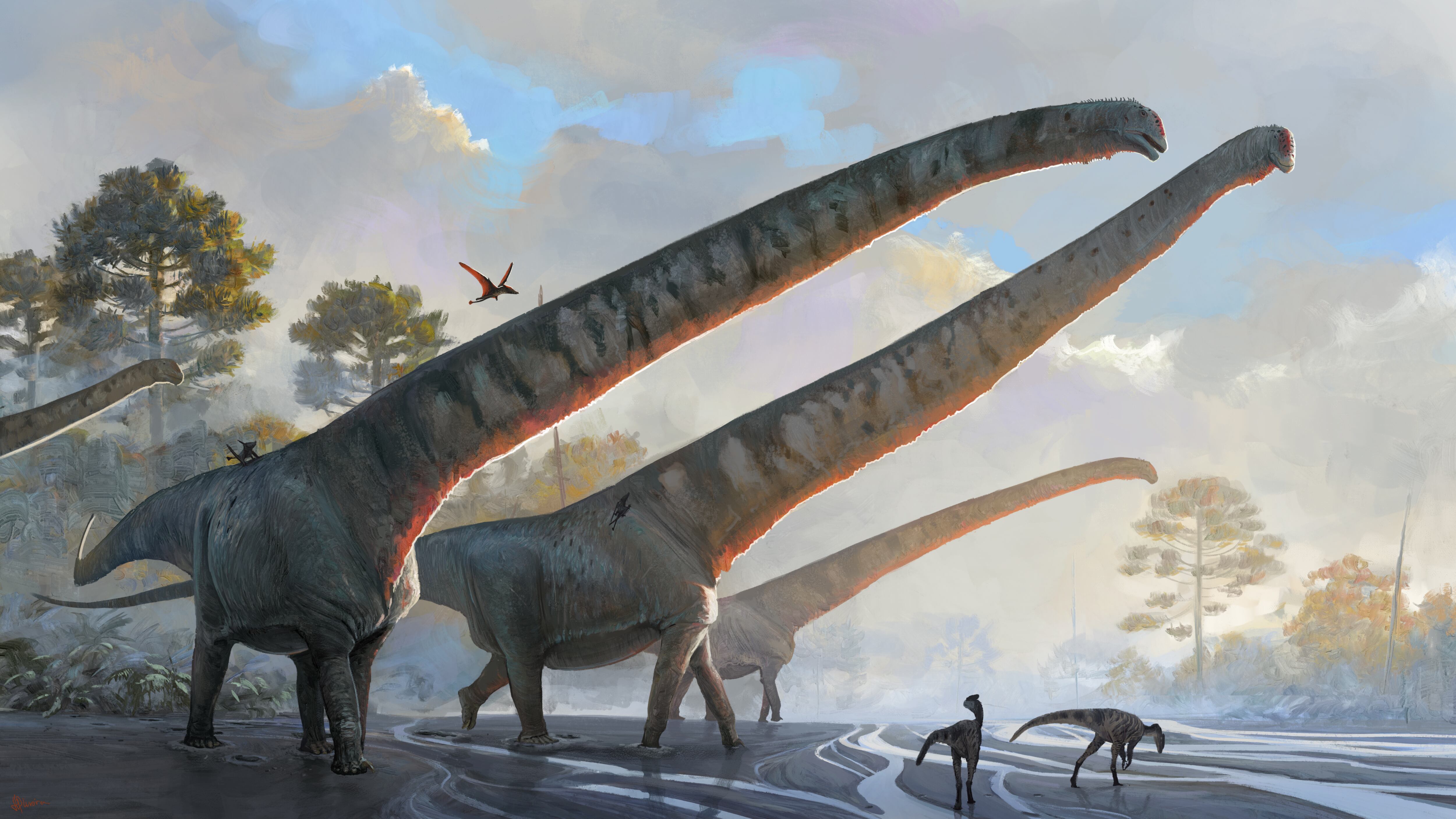 Mamenchisaurus sinocanadorum
