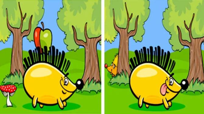 Descubre las diferencias de la imagen.