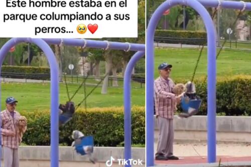 Este abuelito trata a sus perritos de la forma más amorosa: Hasta los columpia en el parque