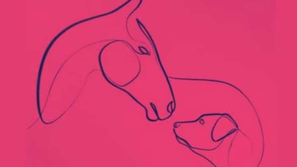 Descubre parte de tu personalidad al mirar la imagen.