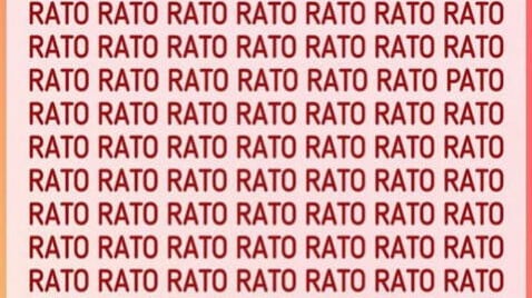 Pato está escondida.