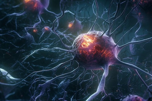 Científicos descubren un nuevo ‘interruptor’ del dolor