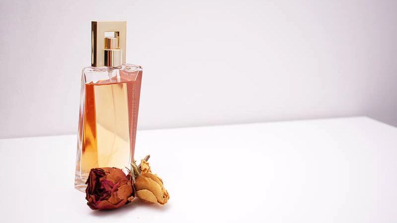 5 perfumes femininos com fragrâncias irresistíveis