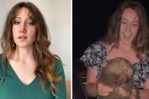 American influencer responds after controversy over taking a baby wombat