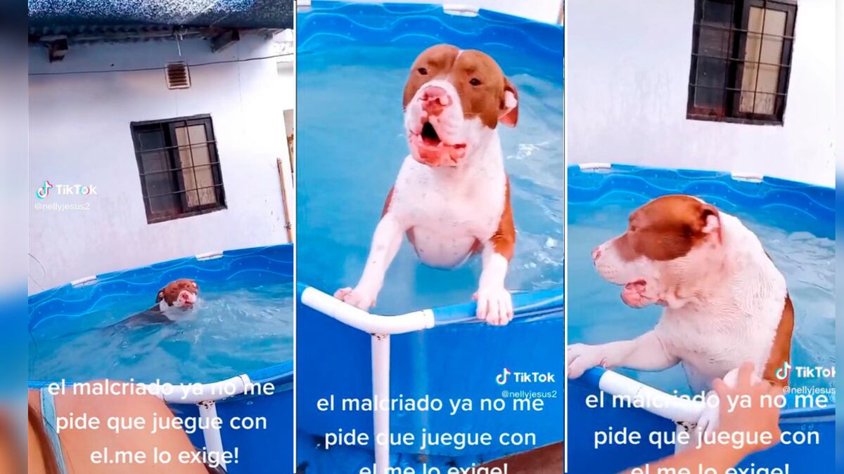 Disfruta mucho del agua