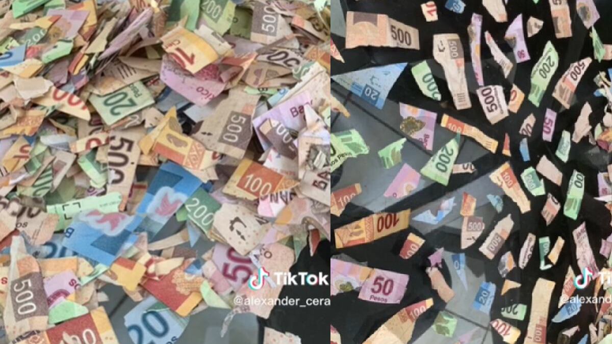 Halló los billetes en la habitación de su primo