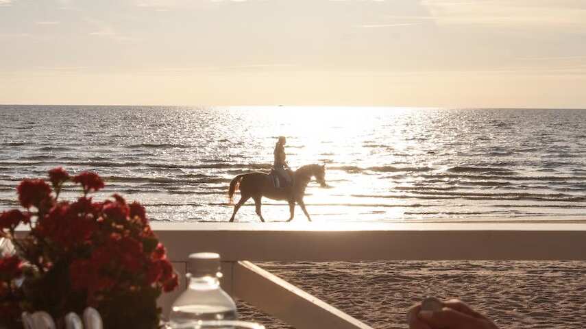 Los caballos son como de cuentos de hadas