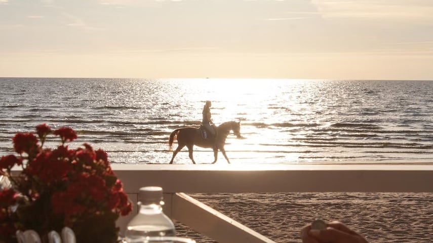 Los caballos son como de cuentos de hadas