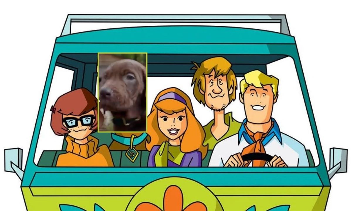 Scooby-Doo.