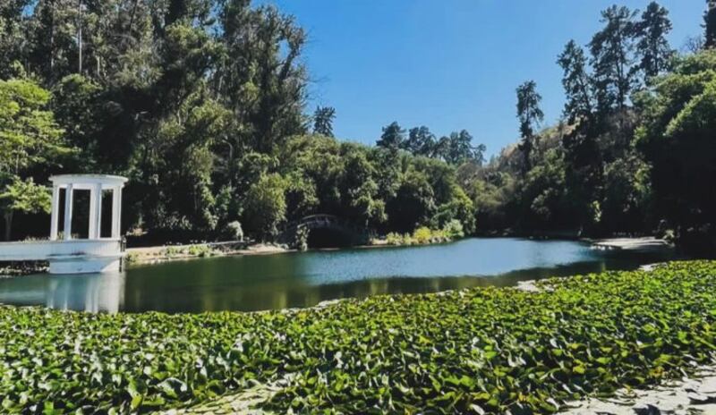 Antes era todo un oasis
