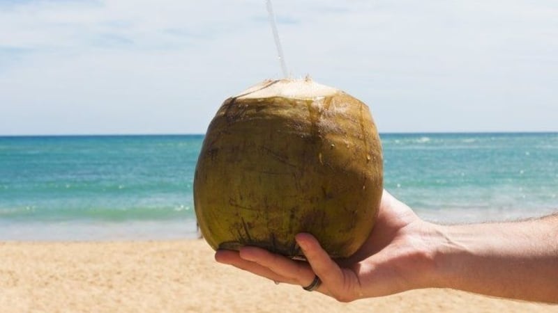 Consumir agua de coco en exceso no es beneficioso para la salud.