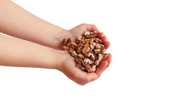 El consumo de nueces incrementan las bacterias intestinales.