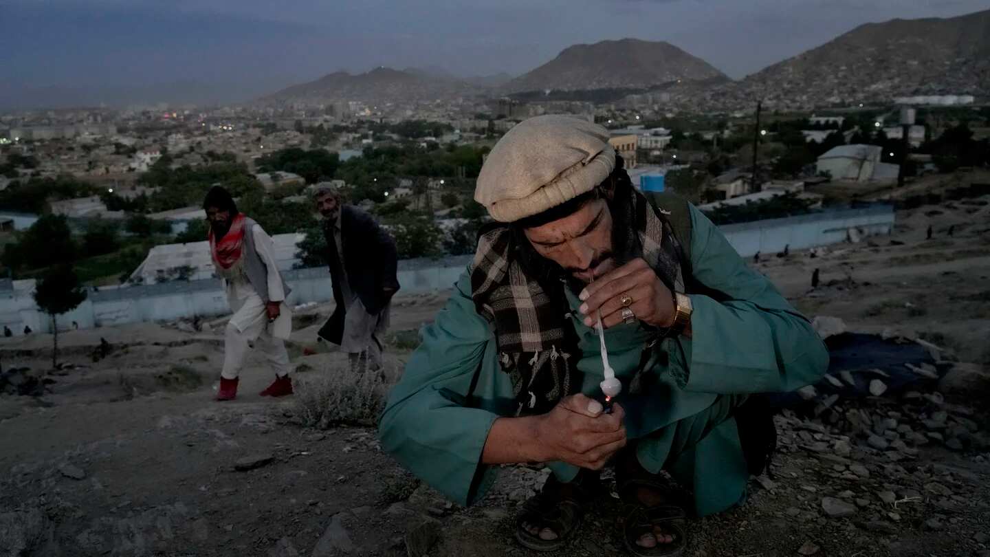 Las mascotas también están sufriendo