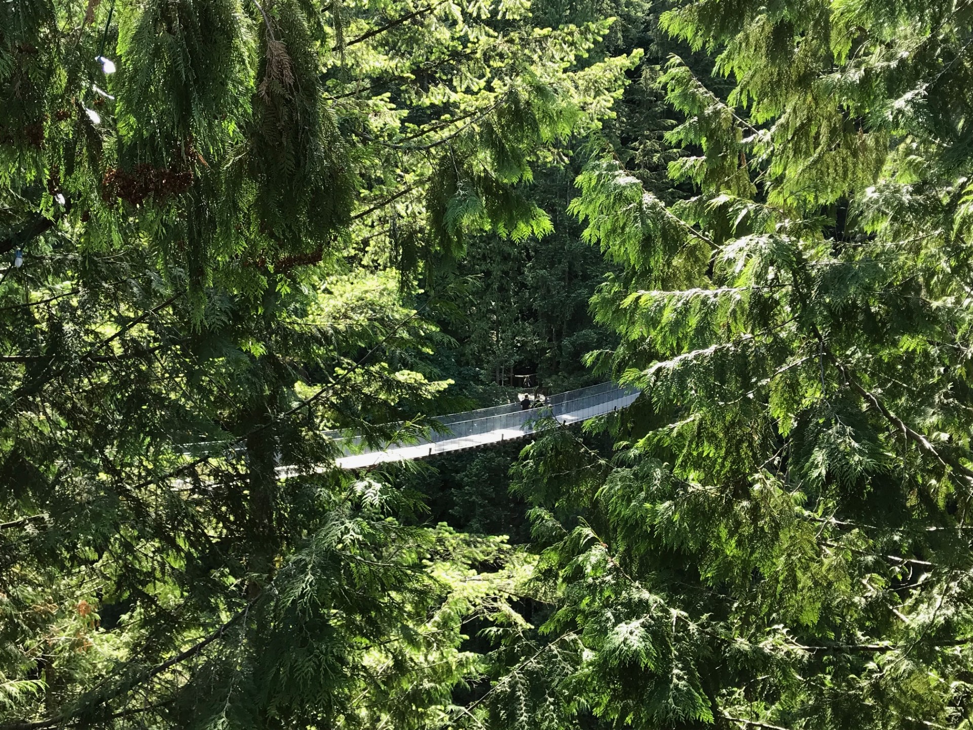 Rodeada de montañas, bosques y el Océano Pacífico, esta ciudad combina naturaleza, cultura y vida urbana como pocas ciudades en el mundo. Foto: Said Pulido.