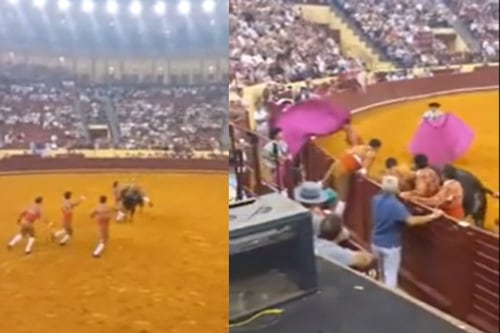 Tragedia en Lisboa: la muerte de un torero de 22 años reabre discusión sobre la tauromaquia