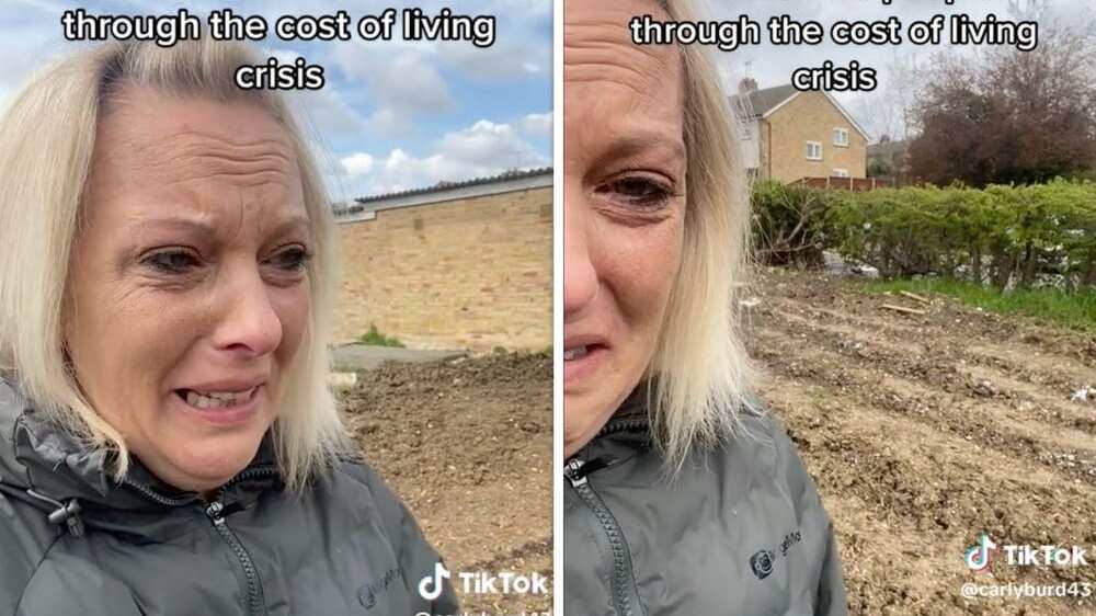 Mujer pierde su cosecha tras una posible invasión de personas ajenas que dañaron su producción.| Foto: TikTok