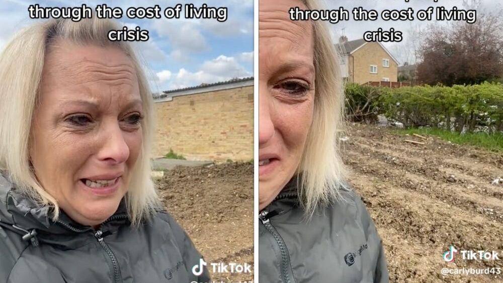 Mujer pierde su cosecha tras una posible invasión de personas ajenas que dañaron su producción.| Foto: TikTok