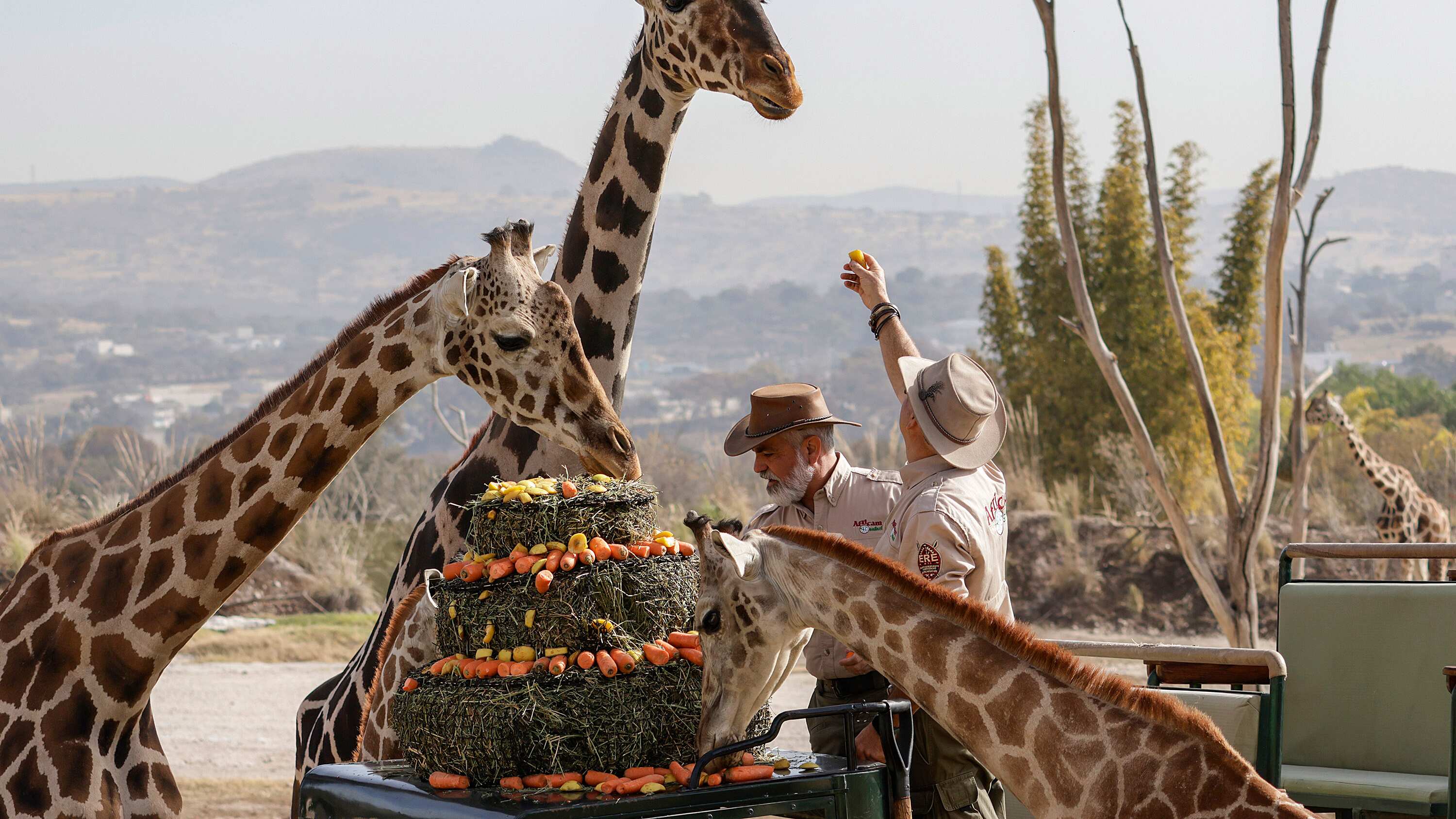 FOTO: Sergio Cervantes/Agencia Enfoque