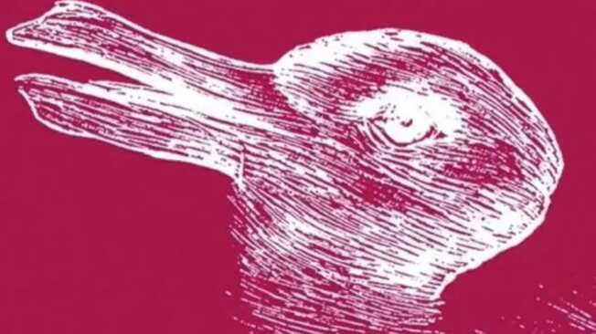 Elige un animal y descifra parte de tu personalidad.