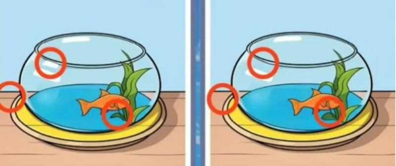 Estas son las diferencias.