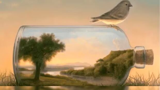 Elige una de las opciones.