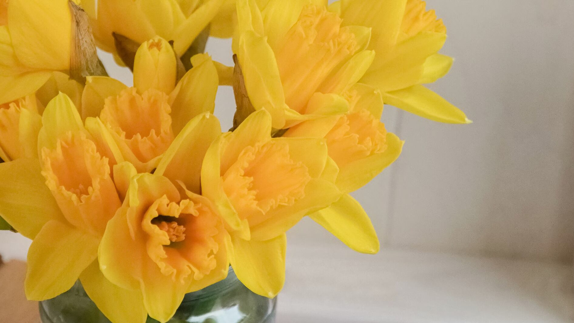 Es un lindo gesto regalar flores en este día