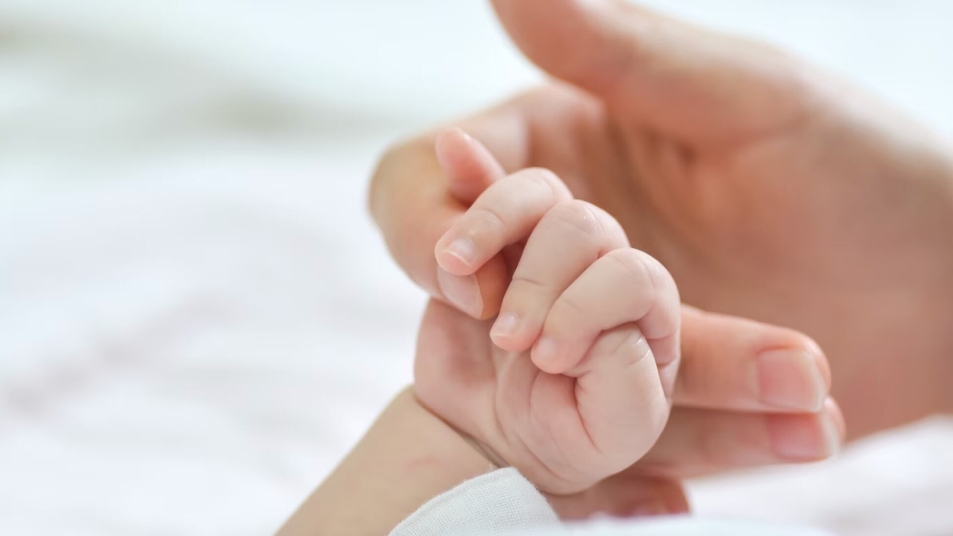 Está al cuidado de las autoridades locales.