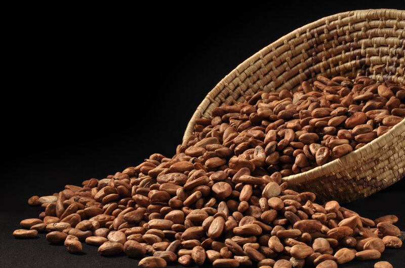 Documental cacao