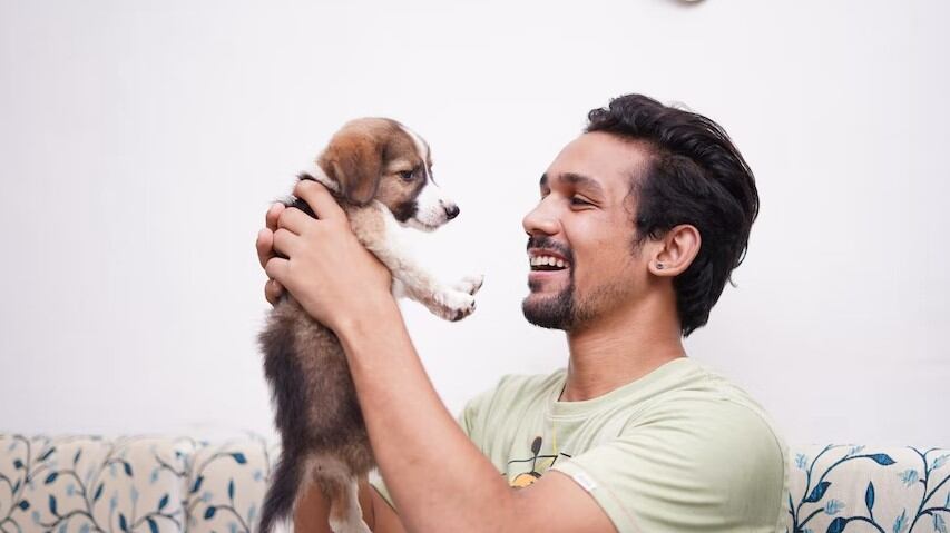 Los perros son de las mascotas más adorables