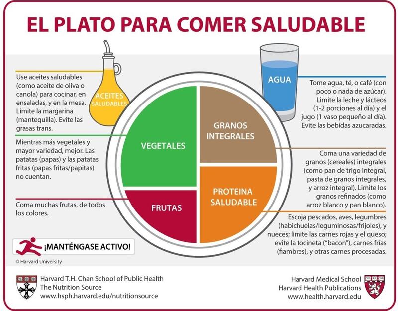 Harvard explica cómo se vería un plato saludable.