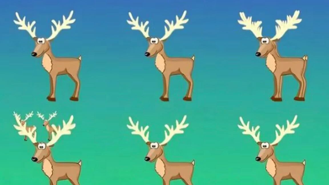 ¿Cuántos venados hay en la imagen?