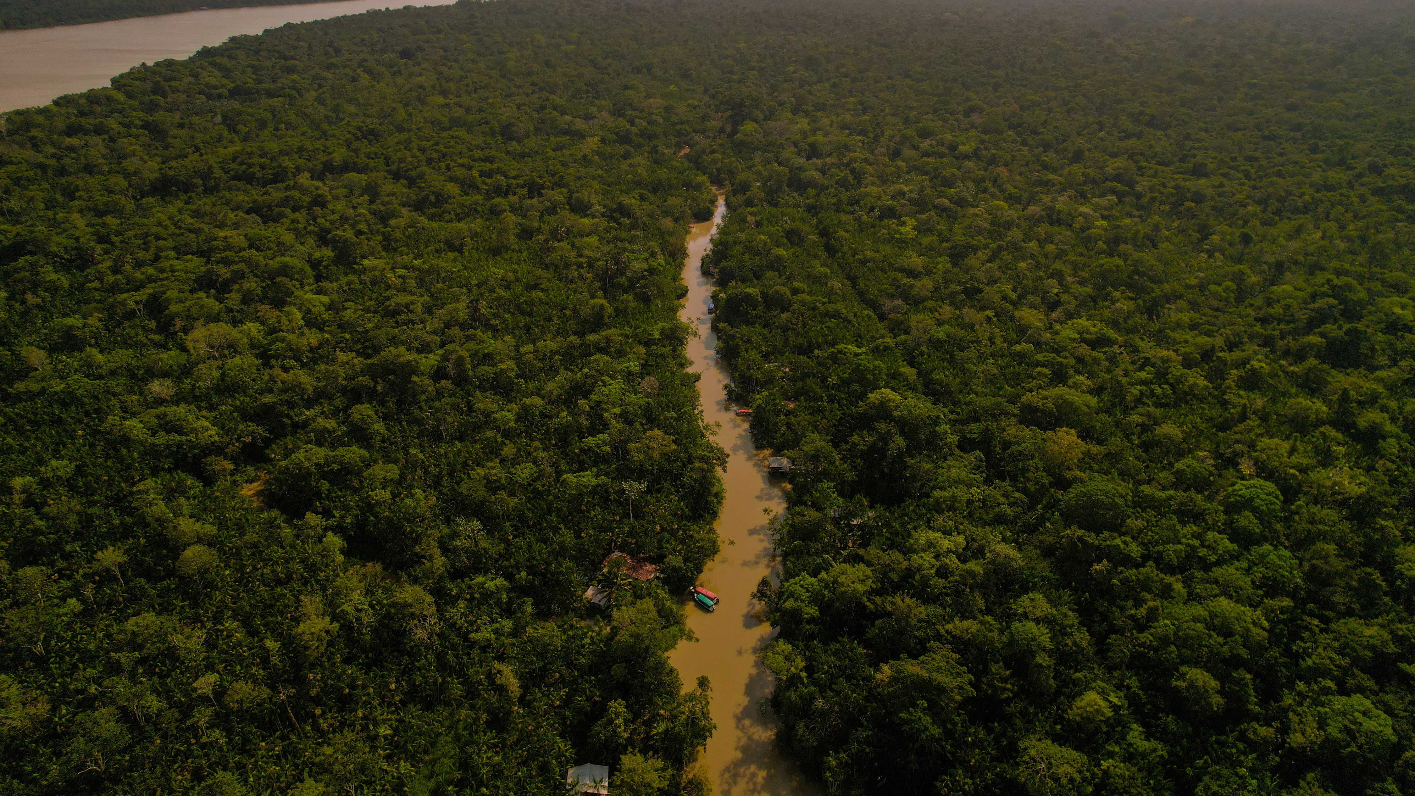 Expectativas y retos rumbo a la COP30, la cumbre anual sobre el cambio climático.