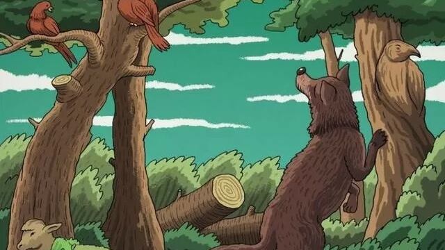 Encuentra los animales ocultos.