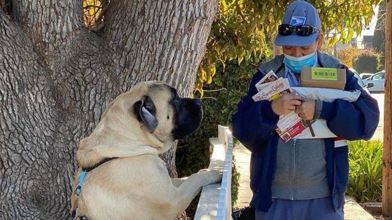 Enterneció en redes sociales