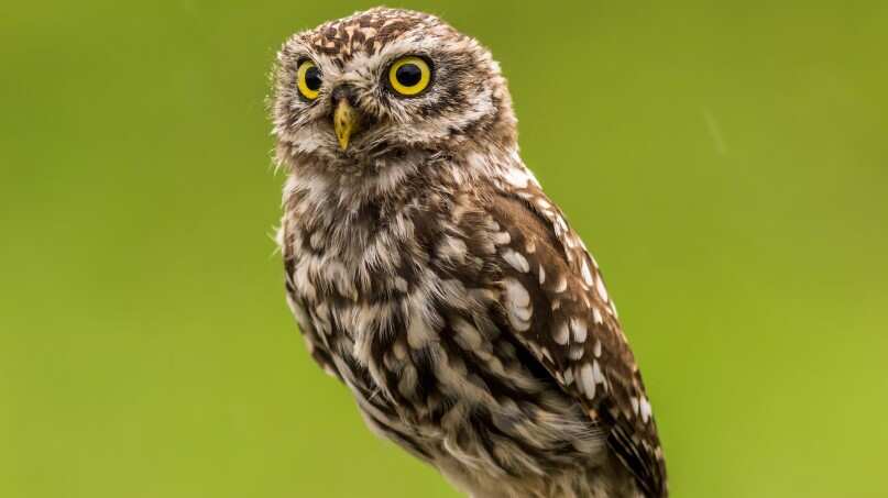 Este reto se hizo viral en redes sociales