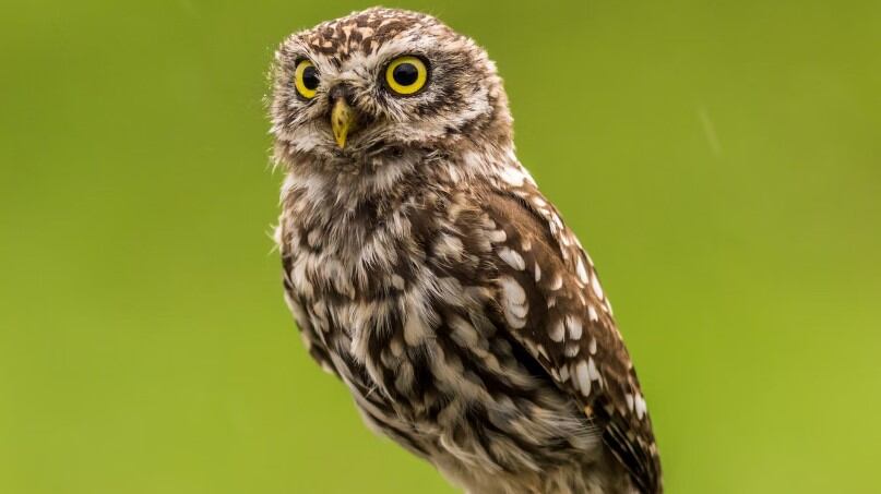 Este reto se hizo viral en redes sociales