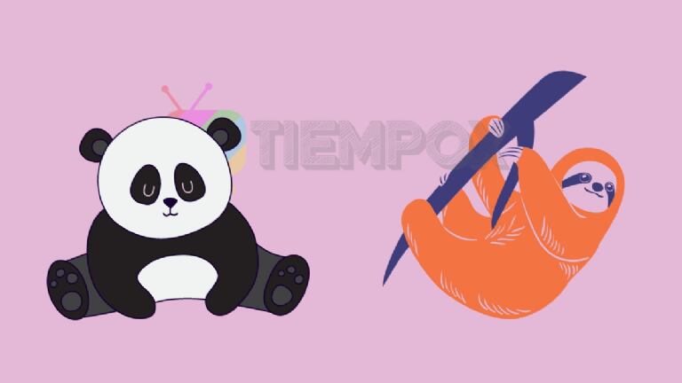 Elige una opción y descubre si eres inmaduro.