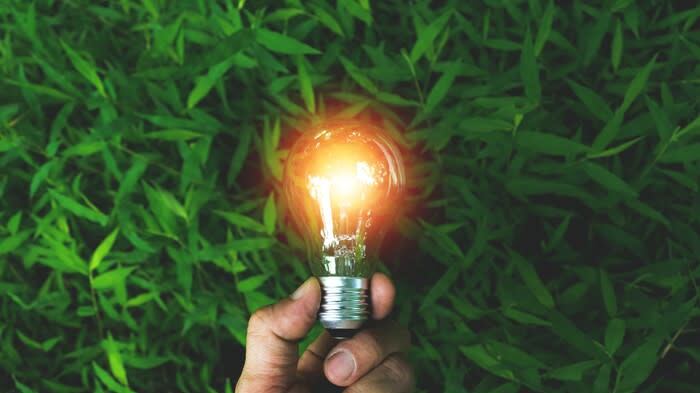 Un emprendimiento sostenible potenciará la innovación de servicios o productos.