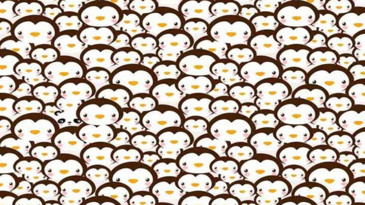 Encuentra al panda oculto.