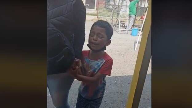 Reacción viral de un niño cuando su madre bromea diciendo que lo vende