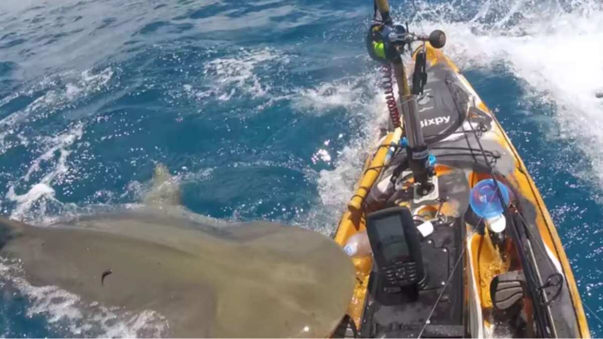 Las imágenes son impactantes