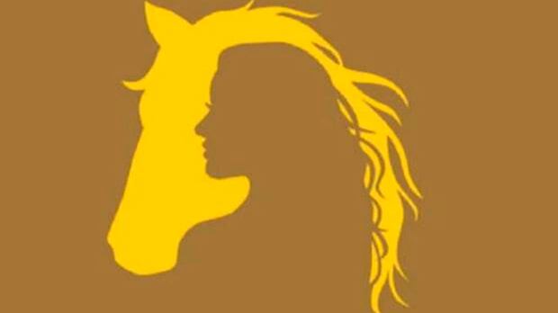 ¿Qué ves en la imagen?