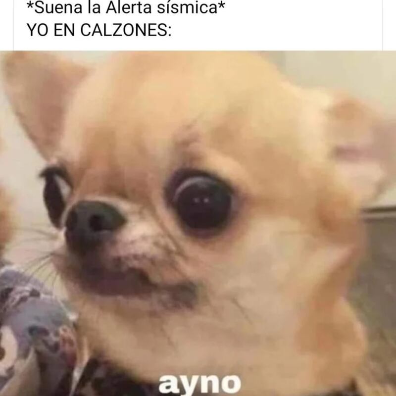 Los mejores memes del sismo del 22 de septiembre.