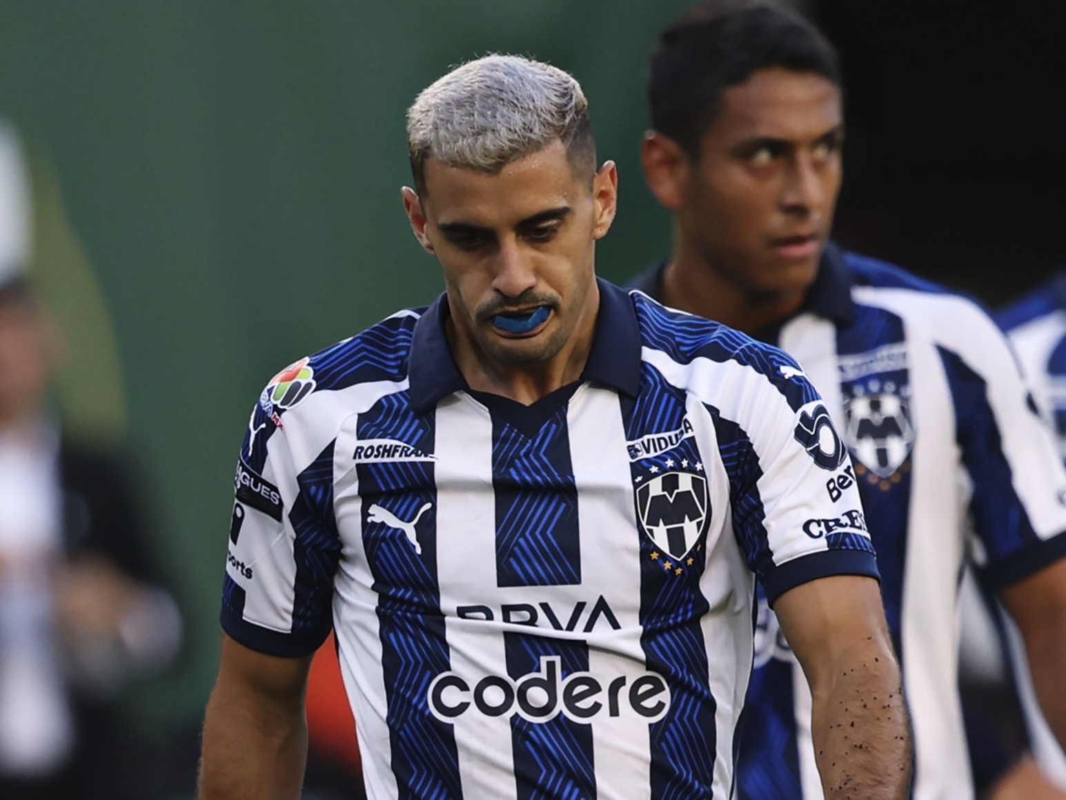 Rayados