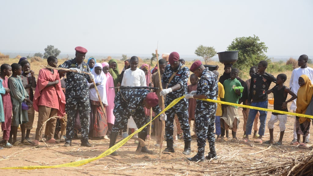 Ataque de Estados Unidos en Nigeria
