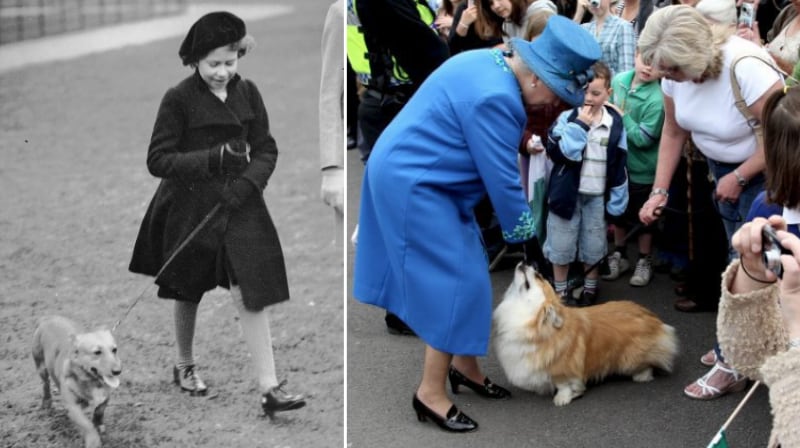 Los corgis de la Reina Isabel II