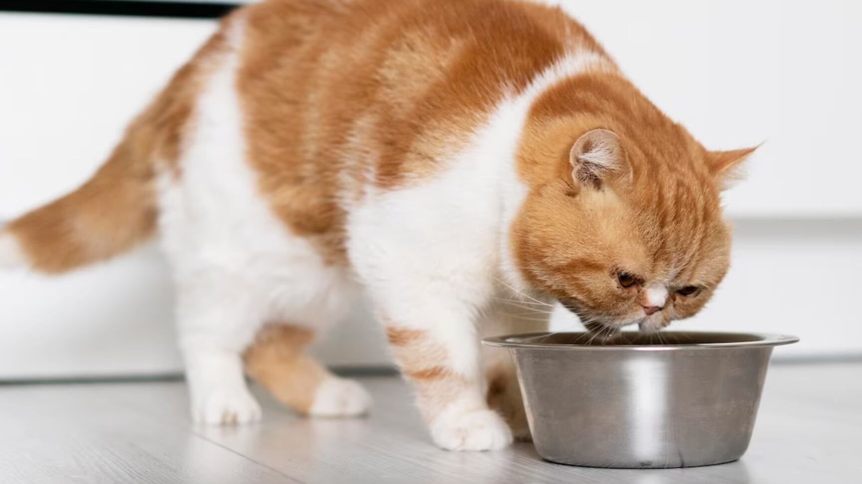 No son convenientes estas bebidas estimulantes