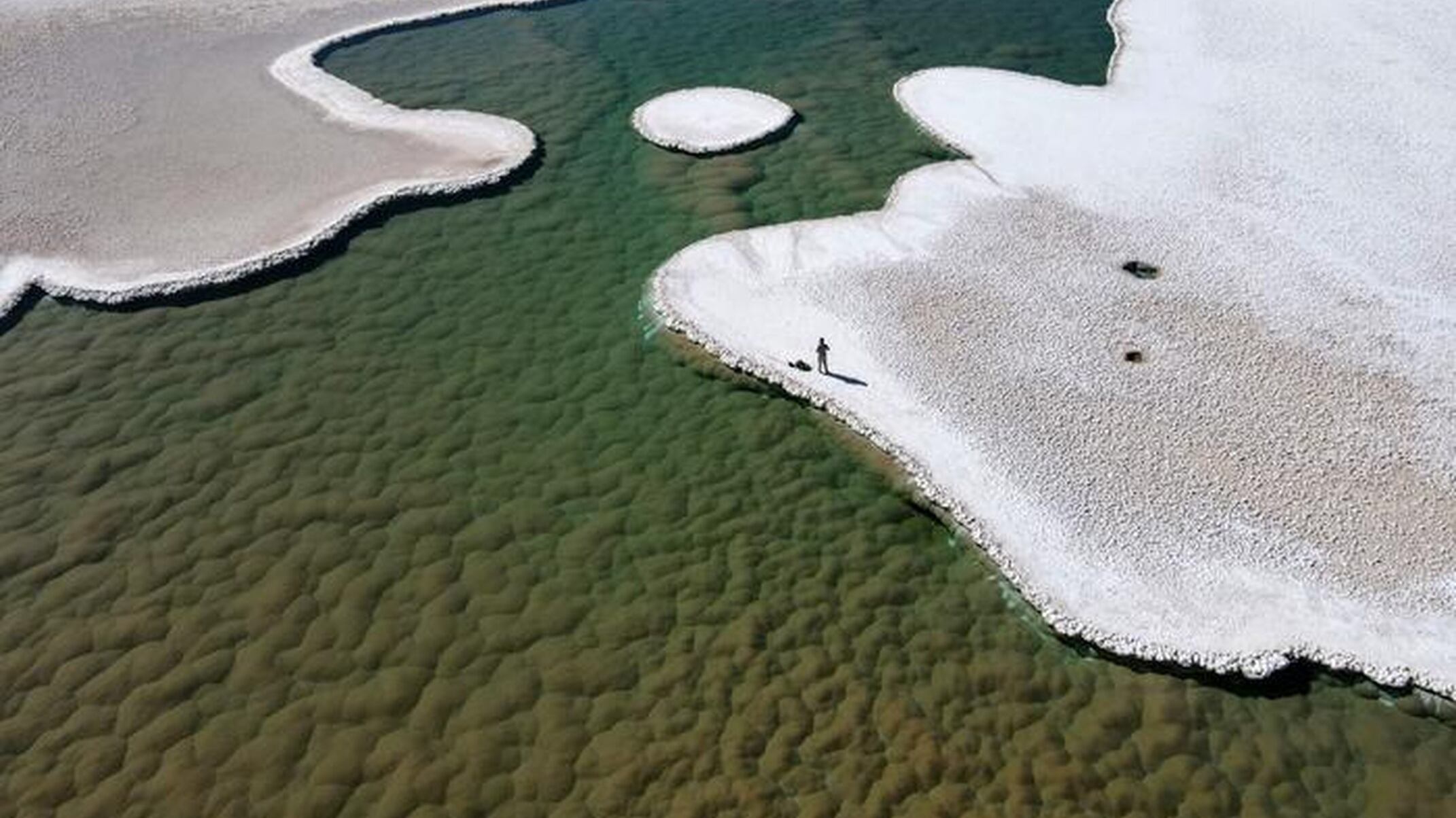 Tipo único de ecosistema en la Tierra