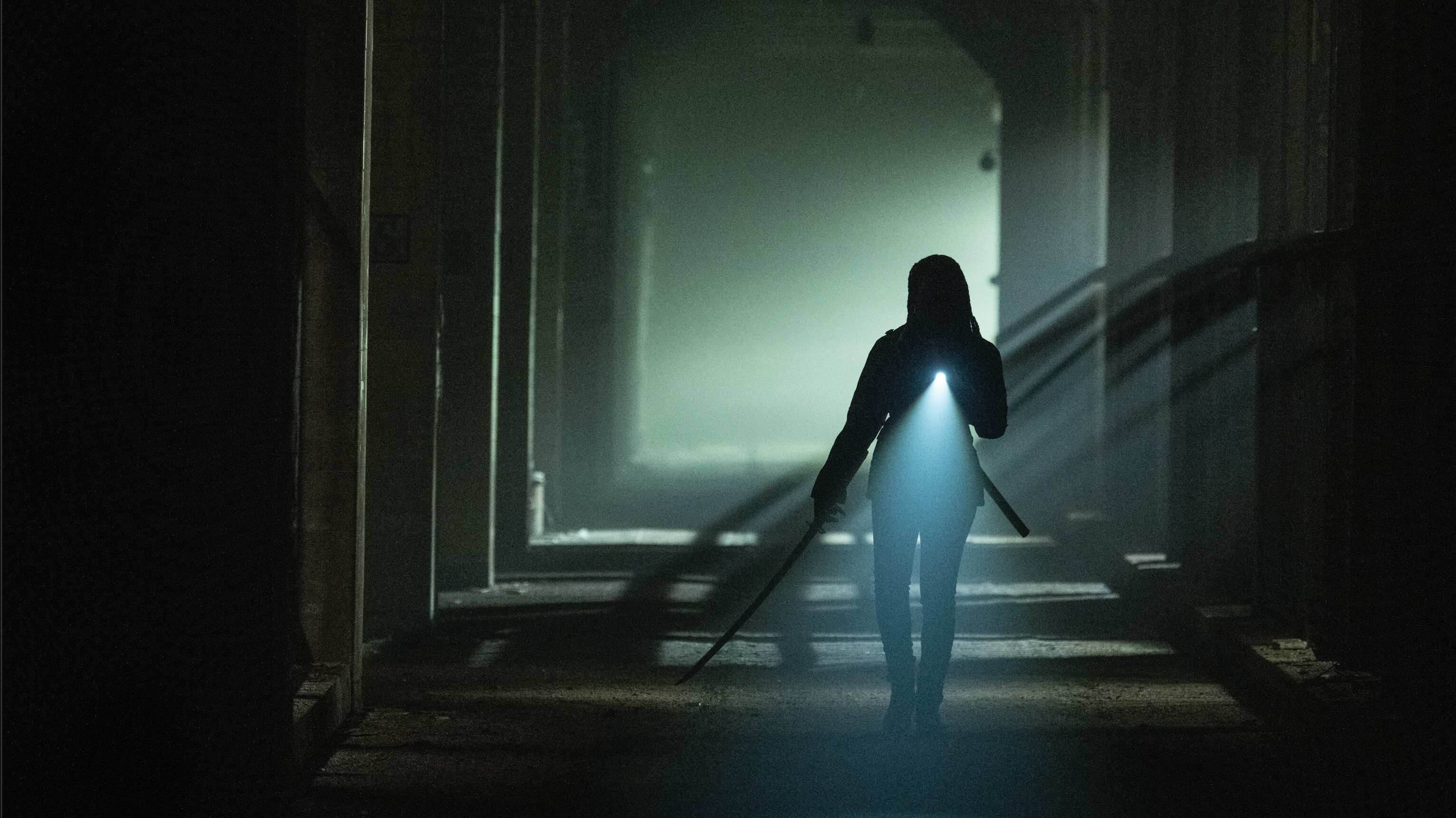 The Walking Dead: The Ones Who Live