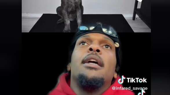 Compró una hiena, creyendo que era un perro